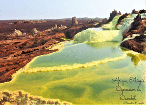 Carte postale de paysage d'Afrique